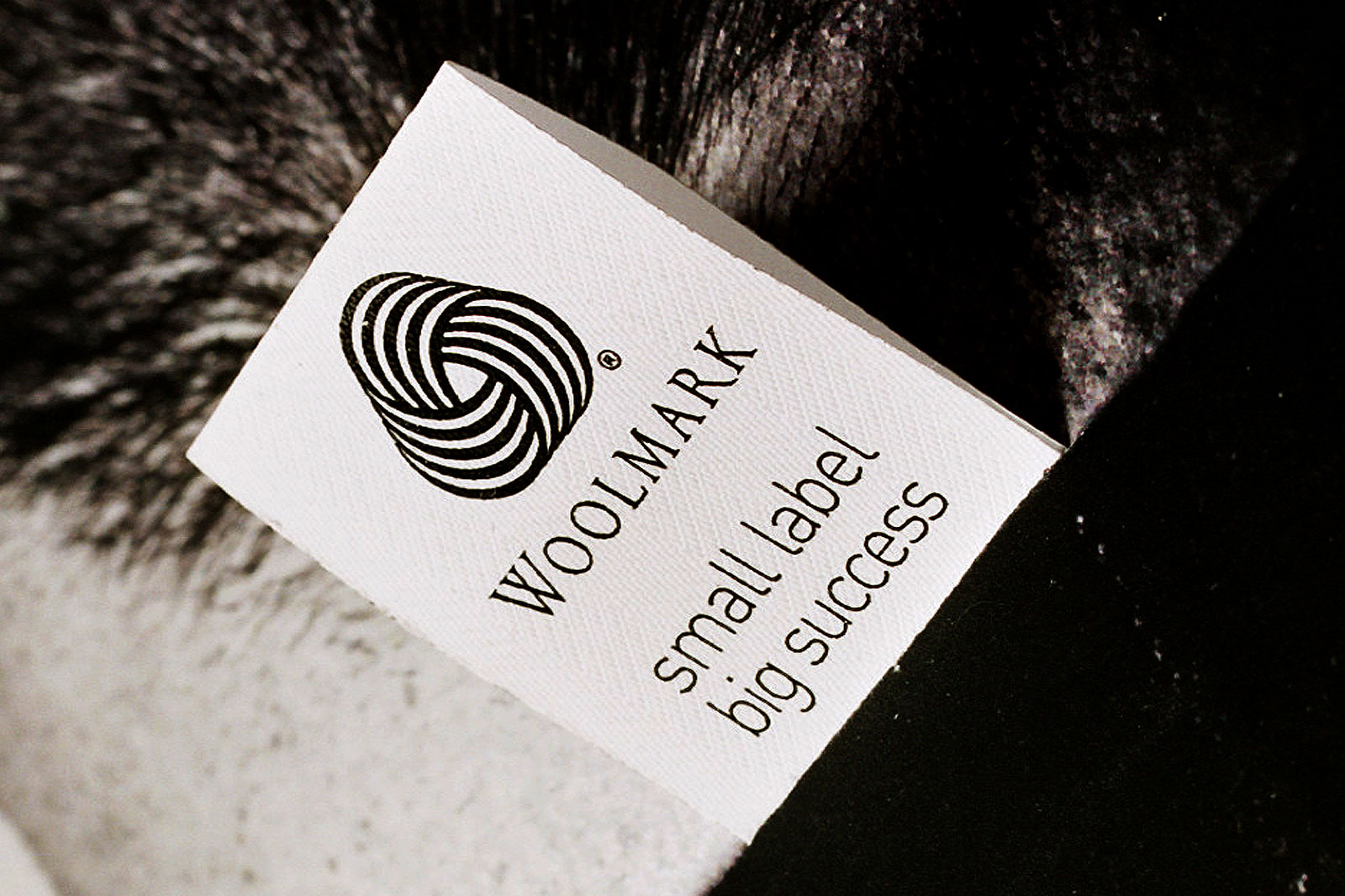 WOOLMARK_10-1600x1066